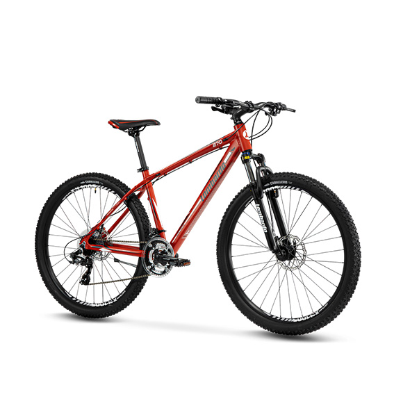 Acquisto \u003ebicicletta lombardo 270 Grande vendita - OFF 68%