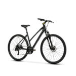 AMANTEA 200 DONNA <BR> LOMBARDO