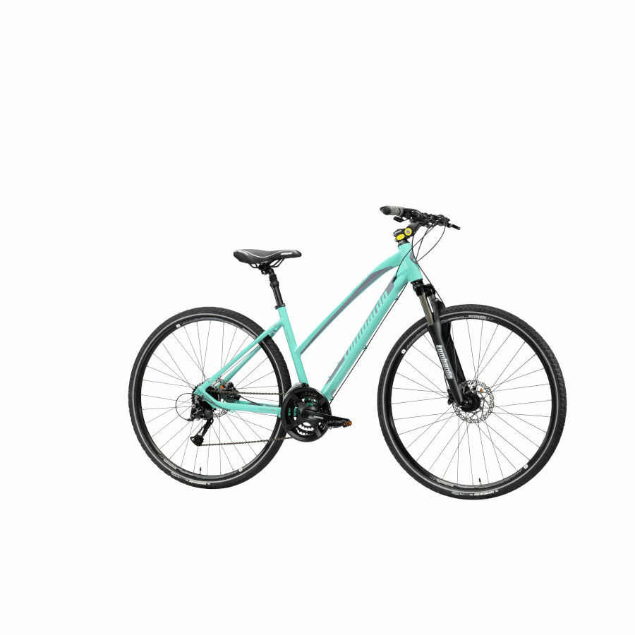 AMANTEA 200 DONNA LOMBARDO BICICLETTE PAPASPORT