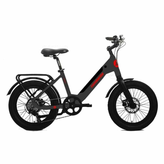 AURELIA LOMBARDO <BR> E-BIKE